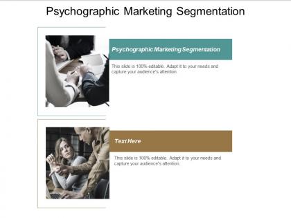 Psychographic marketing segmentation ppt powerpoint presentation file smartart cpb