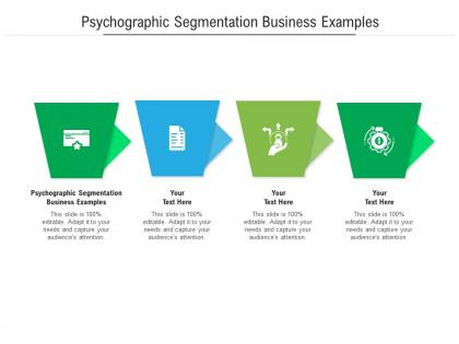 Psychographic segmentation business examples ppt powerpoint presentation show file formats cpb