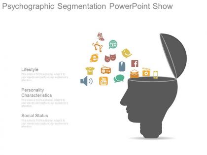 Psychographic segmentation powerpoint show