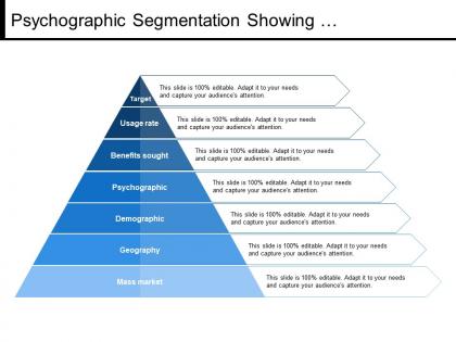 Psychographic segmentation showing demographics mass market