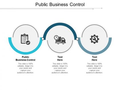 Public business control ppt powerpoint presentation gallery design ideas cpb