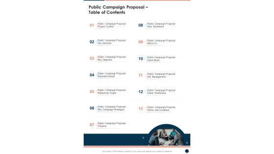 Public Campaign Proposal Table Of Contents One Pager Sample Example Document