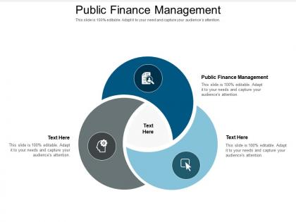 Public finance management ppt powerpoint presentation icon graphics tutorials cpb