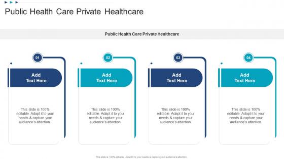 Public Health Care Private Healthcare In Powerpoint And Google Slides Cpb
