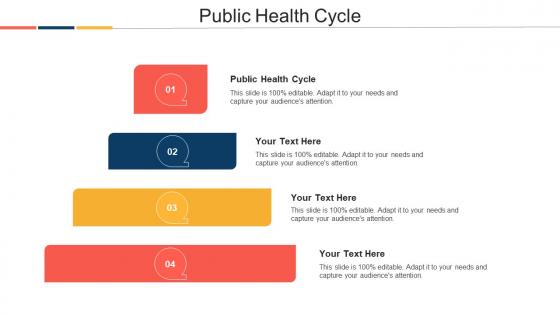 Public Health Cycle Ppt Powerpoint Presentation Slides Vector Cpb