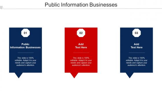 Public Information Businesses Ppt Powerpoint Presentation Gallery Layouts Cpb