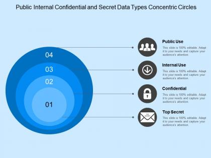 Public internal confidential and secret data types concentric circles