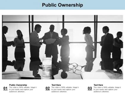 Public ownership ppt powerpoint presentation outline example cpb