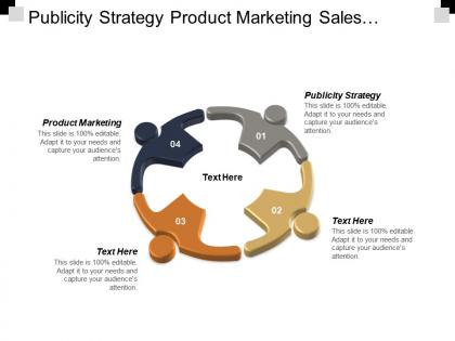 Publicity strategy product marketing sales techniques business intelligence strategies