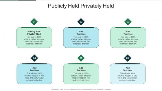 Publicly Held Privately Held In Powerpoint And Google Slides Cpb