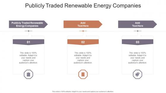Publicly Traded Renewable Energy Companies In Powerpoint And Google Slides Cpb