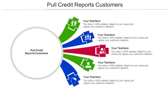 Pull Credit Reports Customers Ppt Powerpoint Presentation Portfolio Mockup Cpb