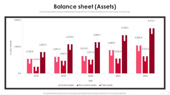 Puma Company Profile Balance Sheet Assets Ppt Brochure CP SS