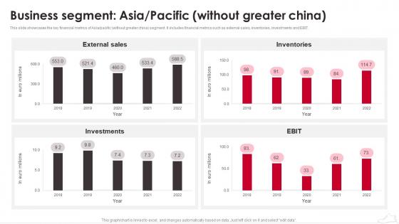 Puma Company Profile Business Segment Asia Pacific Without Greater China Ppt Guidelines CP SS
