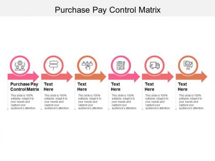 Purchase pay control matrix ppt powerpoint presentation layouts rules cpb