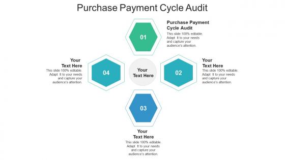 Purchase payment cycle audit ppt powerpoint presentation inspiration example cpb