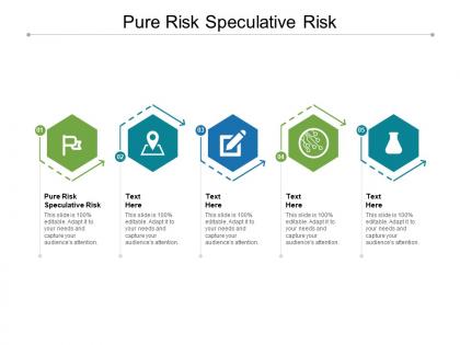 Pure risk speculative risk ppt powerpoint presentation infographics guide cpb