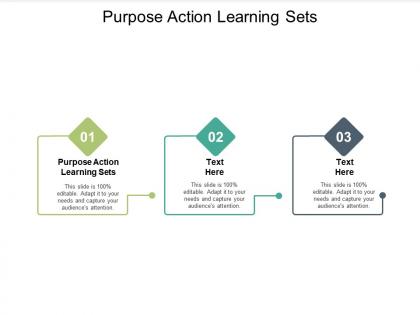 Purpose action learning sets ppt powerpoint presentation portfolio example topics cpb