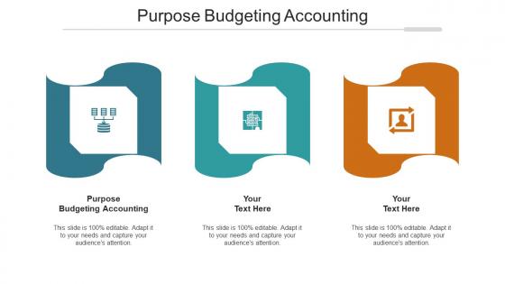 Purpose Budgeting Accounting Ppt Powerpoint Presentation Show Images Cpb