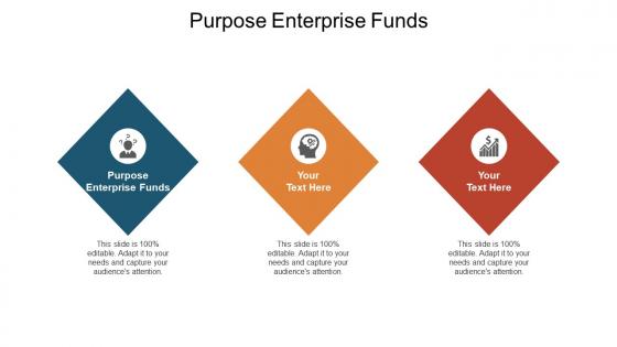 Purpose enterprise funds ppt powerpoint presentation infographic template good cpb