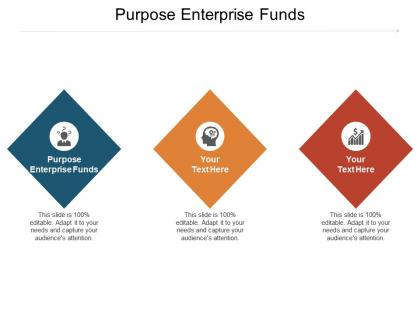 Purpose enterprise funds ppt powerpoint presentation slides elements cpb