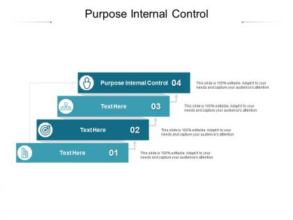 Purpose internal control ppt powerpoint presentation infographics examples cpb