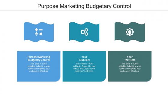 Purpose marketing budgetary control ppt powerpoint presentation styles summary cpb