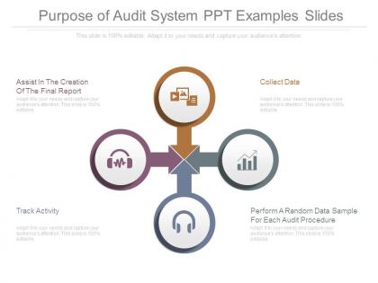 Purpose of audit system ppt examples slides