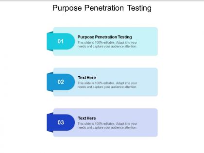 Purpose penetration testing ppt powerpoint presentation outline model cpb
