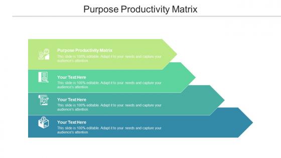 Purpose Productivity Matrix Ppt Powerpoint Presentation Slides Files Cpb