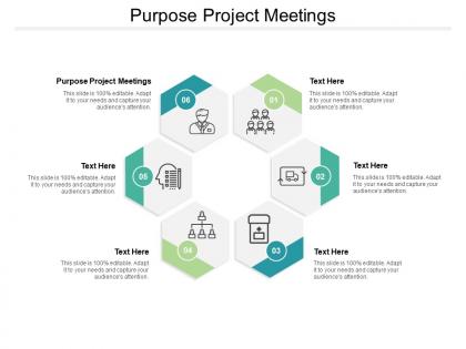 Purpose project meetings ppt powerpoint presentation slides graphics design cpb