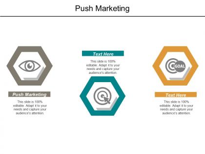 Push marketing ppt powerpoint presentation file example introduction cpb