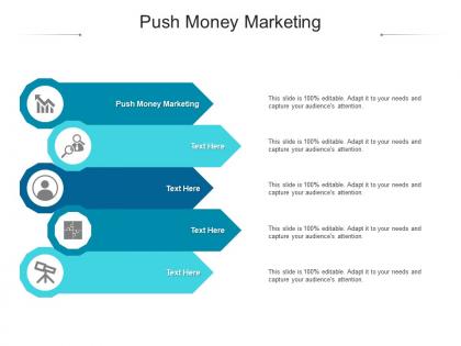 Push money marketing ppt powerpoint presentation styles design templates cpb