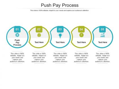 Push pay process ppt powerpoint presentation summary icons cpb