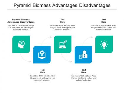 Pyramid biomass advantages disadvantages ppt powerpoint presentation styles templates cpb