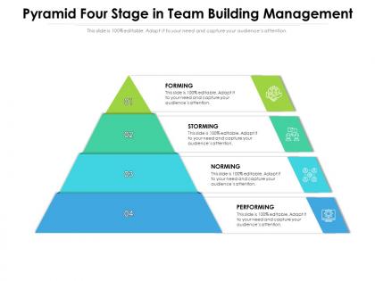Pyramid four stage in team building management