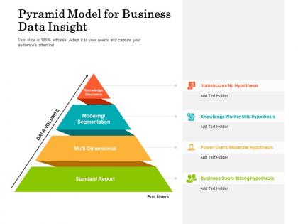 Pyramid model for business data insight