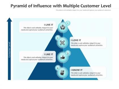 Pyramid of influence with multiple customer level
