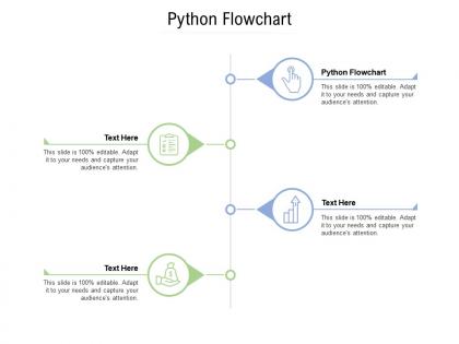 Python flowchart ppt powerpoint presentation summary template cpb