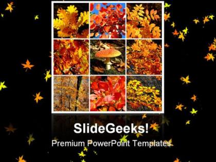 Autumn collage nature powerpoint templates and powerpoint backgrounds 0611