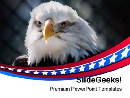 Bald eagle americana powerpoint templates and powerpoint backgrounds 0311