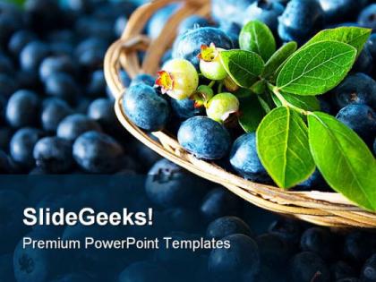 Blue berries food powerpoint templates and powerpoint backgrounds 0211