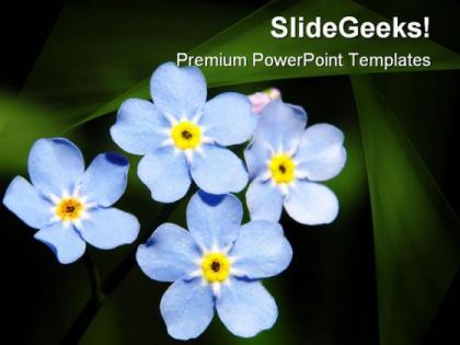 Blue flowers beauty powerpoint templates and powerpoint backgrounds 0311