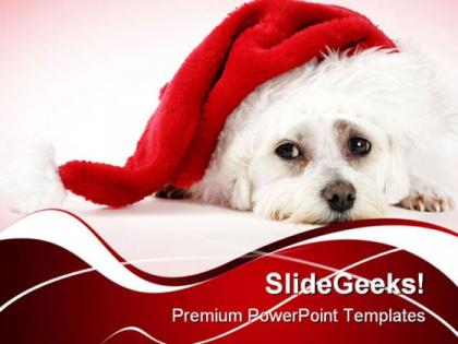 Christmas pooch holidays powerpoint templates and powerpoint backgrounds 0211