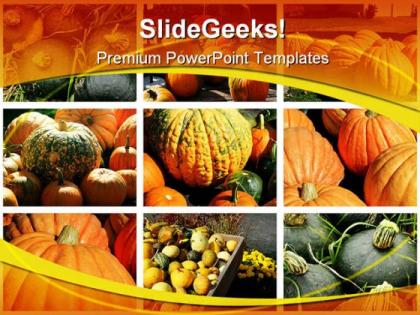 Collage of fall squashes nature powerpoint templates and powerpoint backgrounds 0311