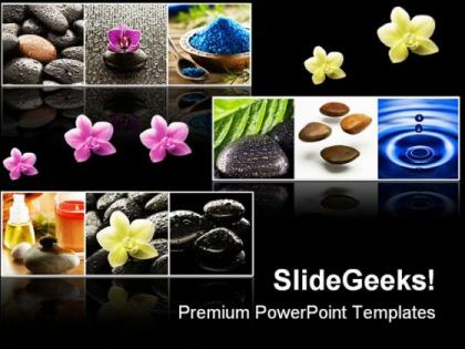 Collage of spa beauty powerpoint templates and powerpoint backgrounds 0311