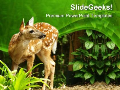 Deer animals powerpoint templates and powerpoint backgrounds 0411
