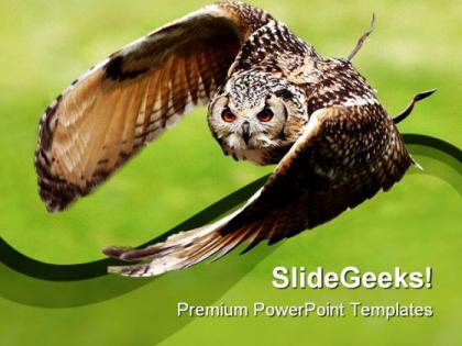 Eagle owl in flight animals powerpoint templates and powerpoint backgrounds 0111