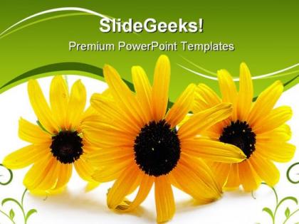 Flower beauty powerpoint templates and powerpoint backgrounds 0211