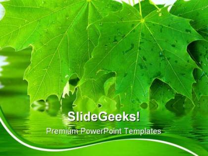 Leaves nature powerpoint templates and powerpoint backgrounds 0311